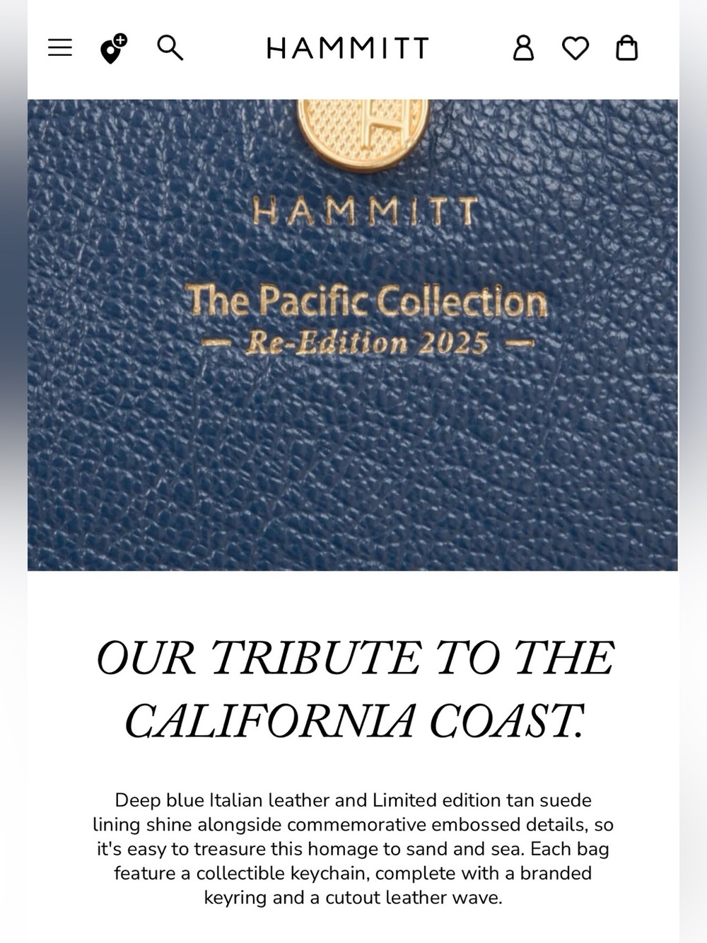 Hammitt Large Allen Tote Bag, Pacific Collection Re-Edition